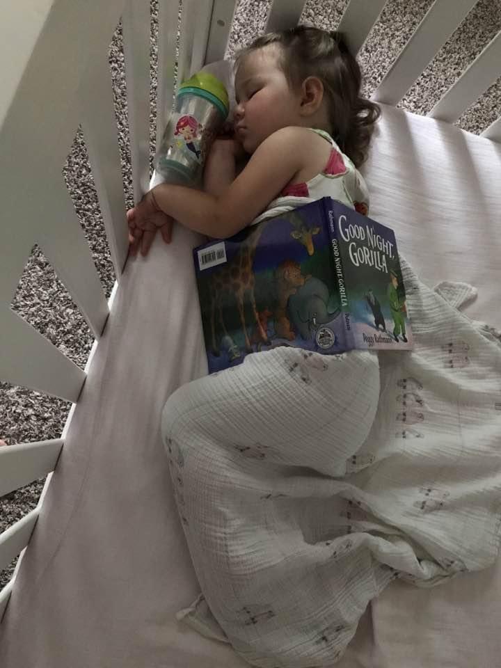 Sleeping child with a book
